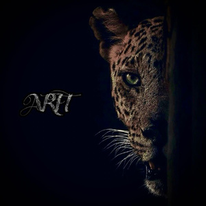 欧美男男🔞高潮片免费视频
